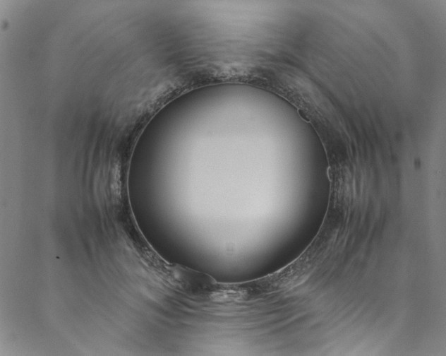 X0000088580700200706081123