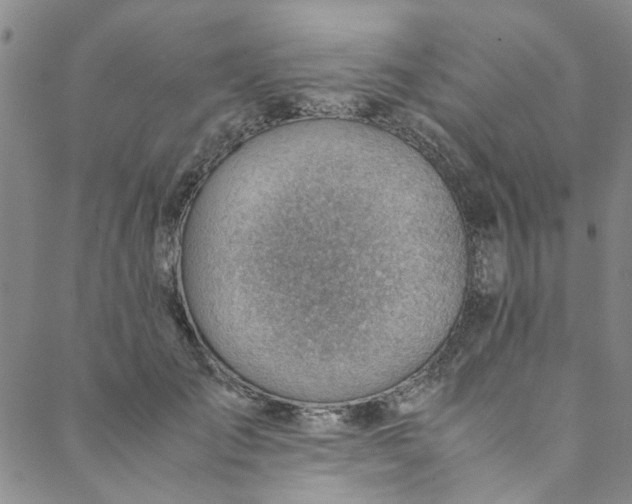 X0000088580701200706081123