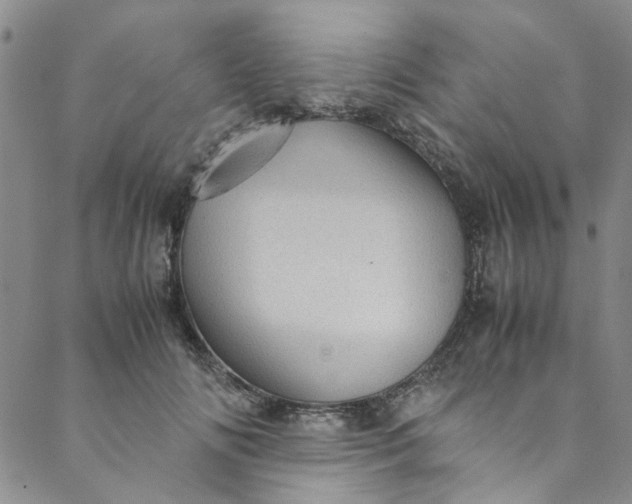 X0000088580702200706081123