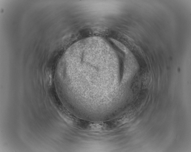 X0000088580703200706081123