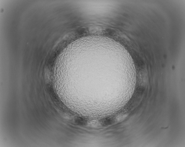 X0000088580705200706081123