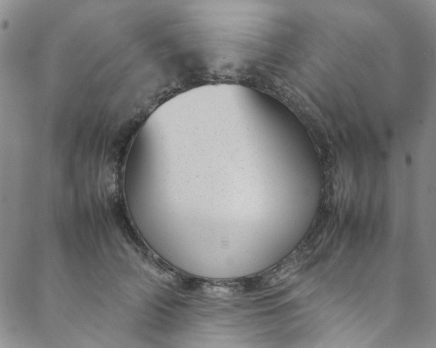 X0000088580706200706081123