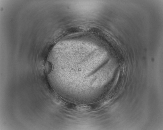 X0000088580707200706081123