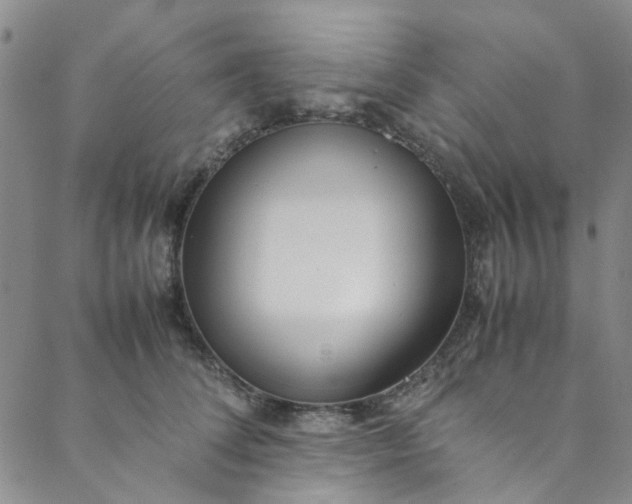 X0000088580708200706081123