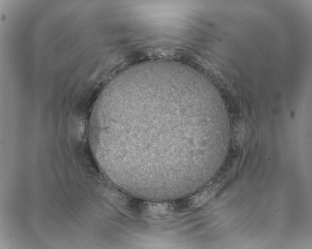 X0000088580709200706081123