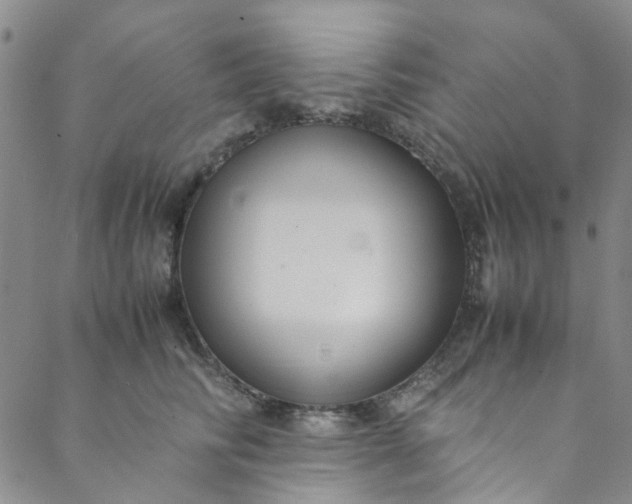 X0000088580710200706081123