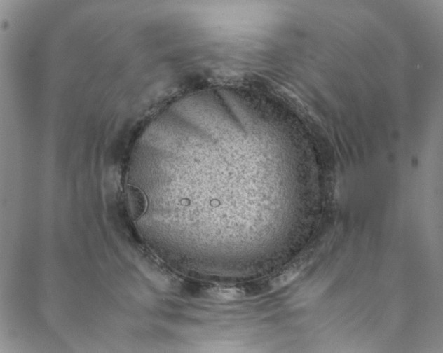 X0000088580711200706081123