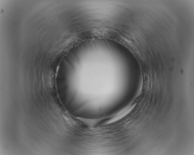 X0000088580712200706081123