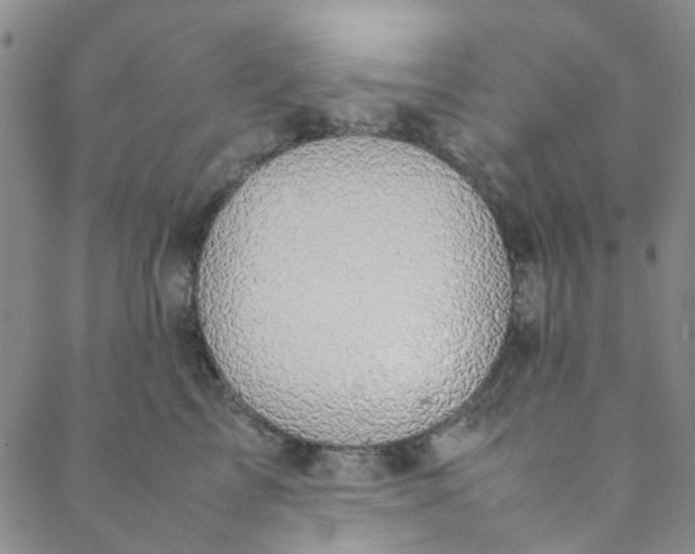 X0000088580713200706081123