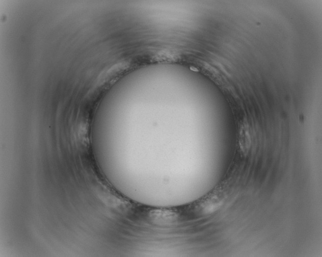 X0000088580714200706081123