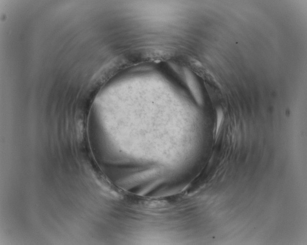 X0000088580716200706081123