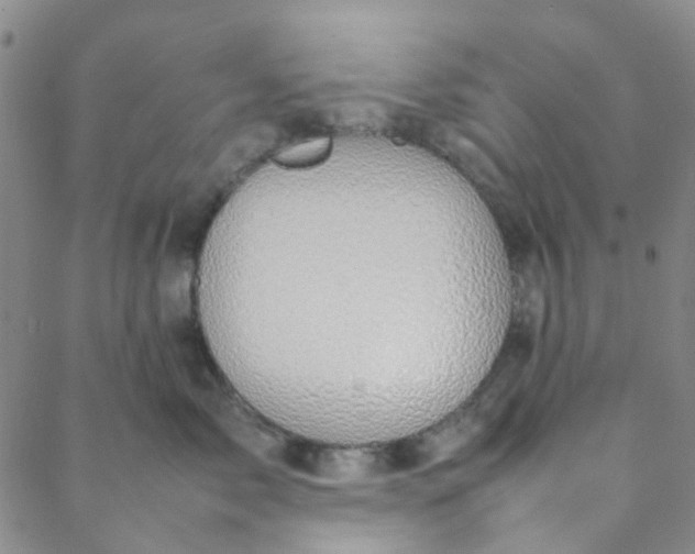 X0000088580717200706081123