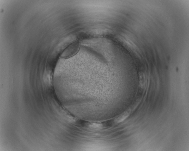 X0000088580718200706081123