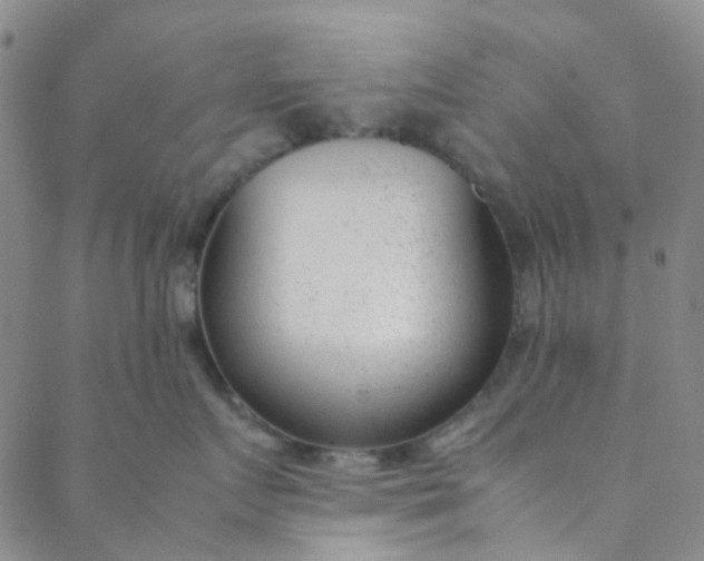 X0000088580719200706081123