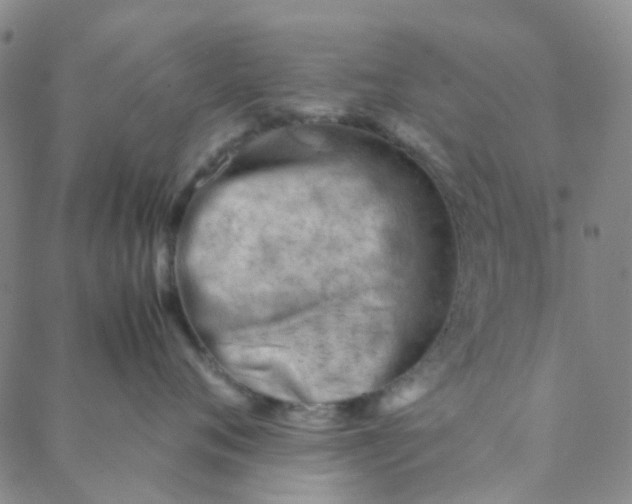 X0000088580720200706081123