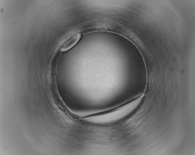 X0000088580722200706081122