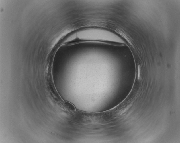 X0000088580723200706081122