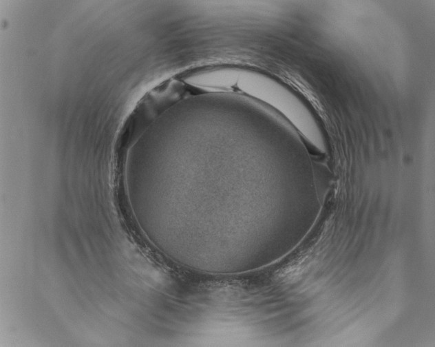 X0000088580724200706081122