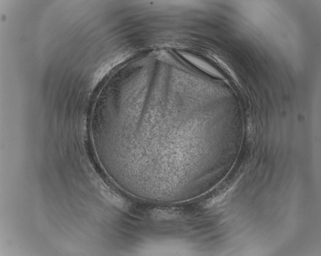 X0000088580725200706081122