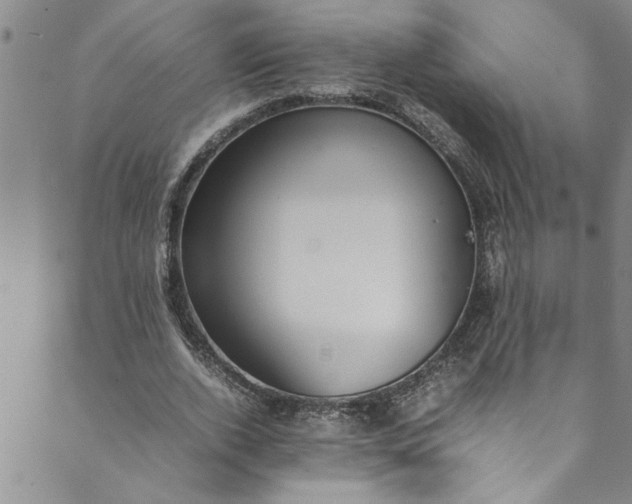 X0000088580728200706081122