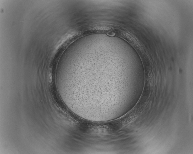 X0000088580731200706081122