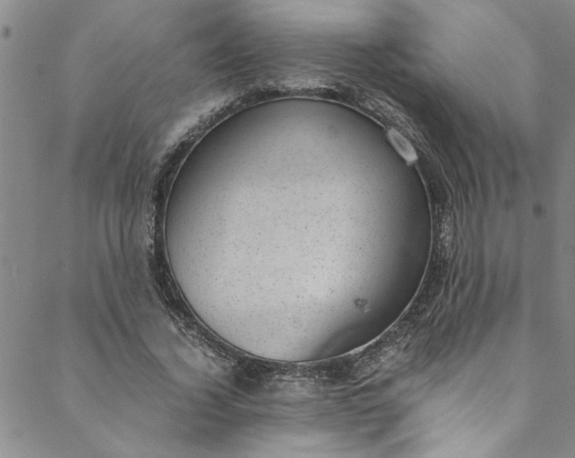 X0000088580732200706081122