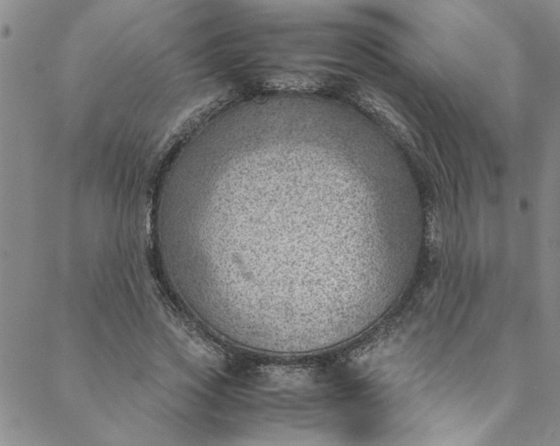 X0000088580733200706081122