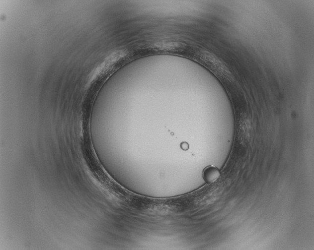 X0000088580734200706081122