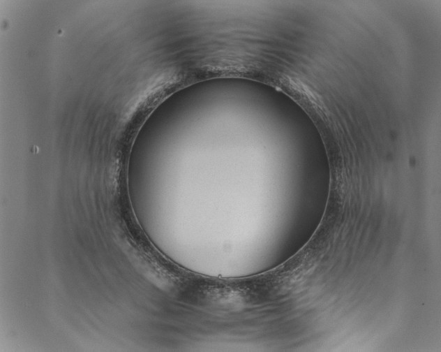 X0000088580735200706081122