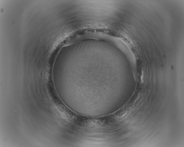 X0000088580736200706081122