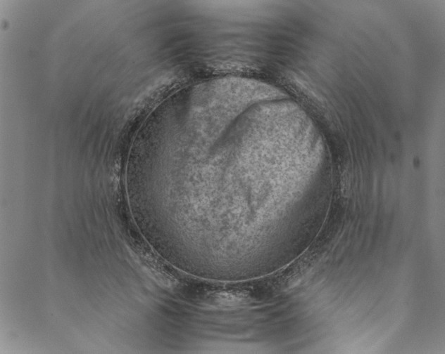 X0000088580737200706081122