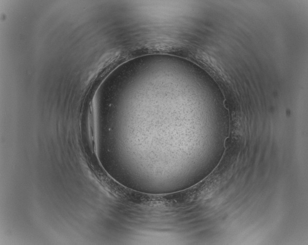 X0000088580738200706081122