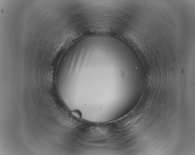 X0000088580739200706081122