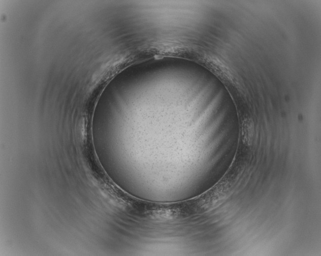 X0000088580740200706081122