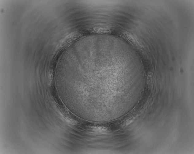 X0000088580741200706081122