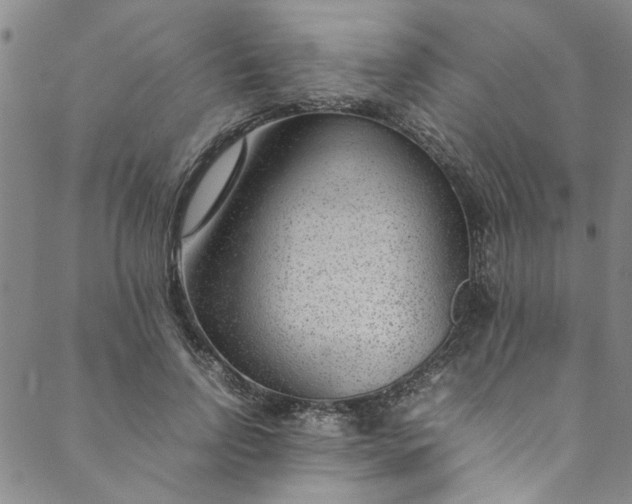 X0000088580742200706081122