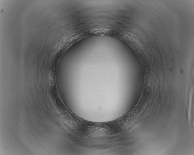 X0000088580743200706081122