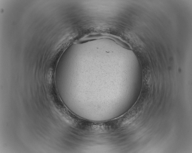 X0000088580744200706081122