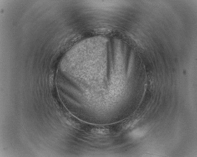 X0000088580745200706081122