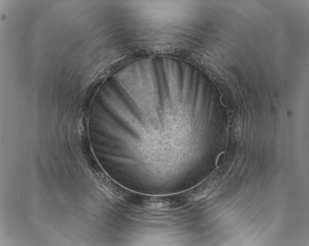 X0000088580746200706081122