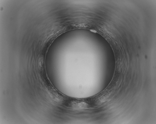 X0000088580747200706081122