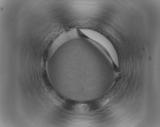 X0000088580748200706081122