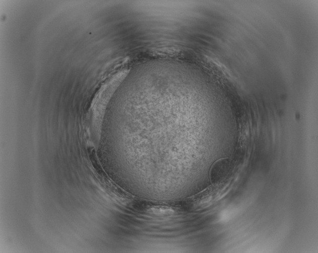 X0000088580749200706081122