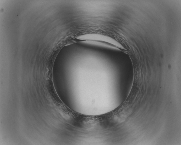 X0000088580750200706081122