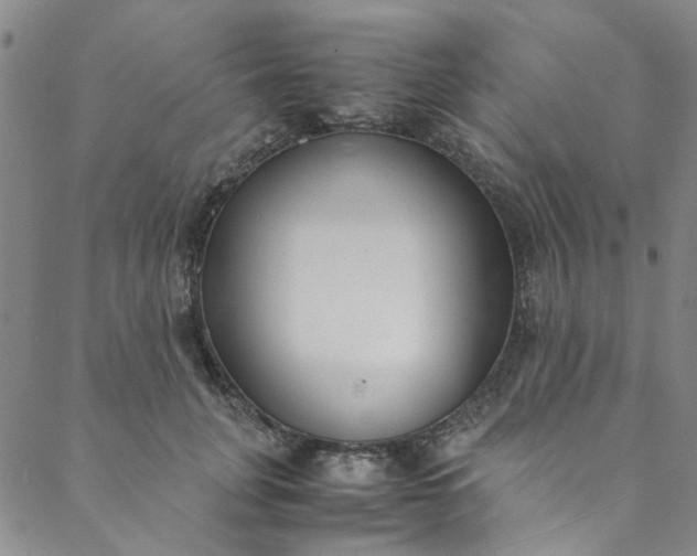 X0000088580751200706081122