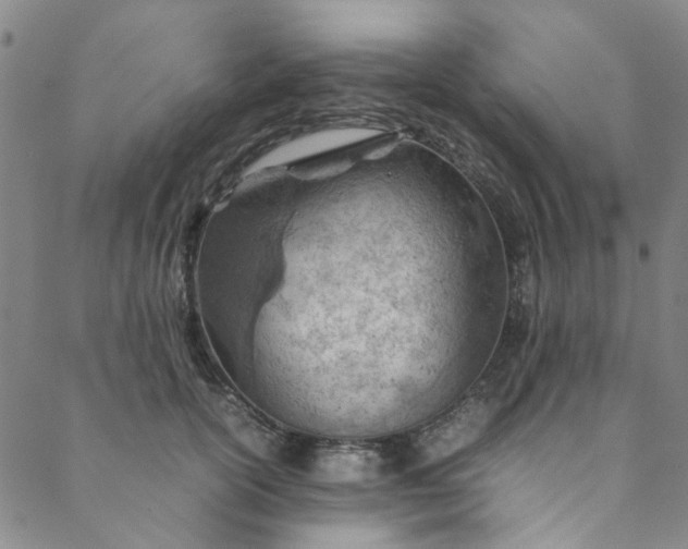 X0000088580754200706081122