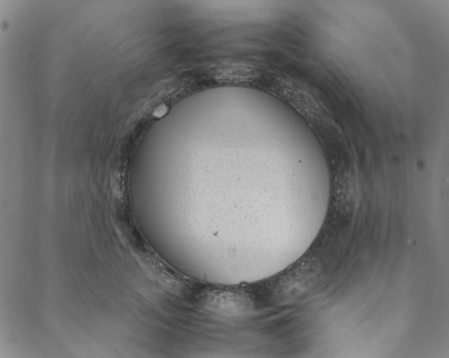 X0000088580755200706081122