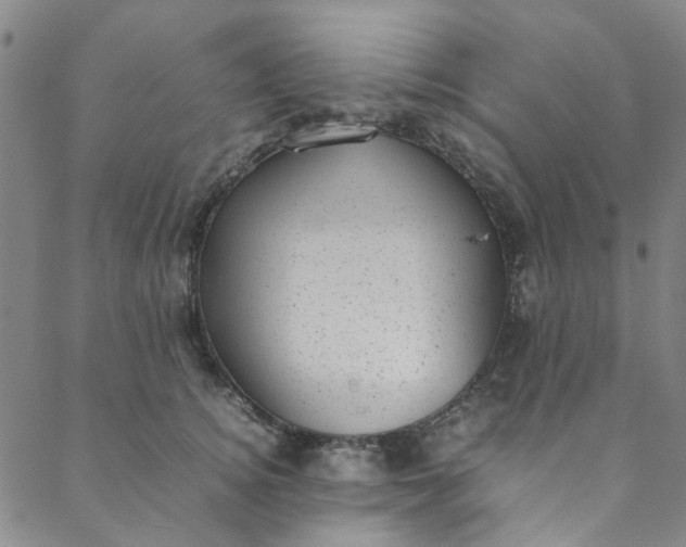 X0000088580756200706081122