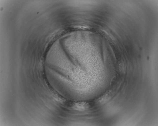 X0000088580757200706081122