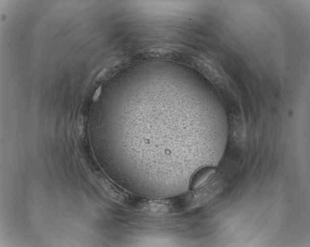 X0000088580758200706081122